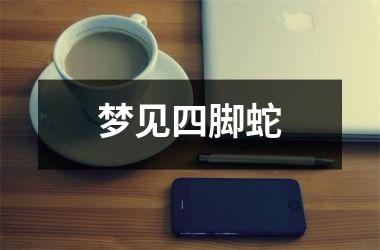 <h3>梦见四脚蛇