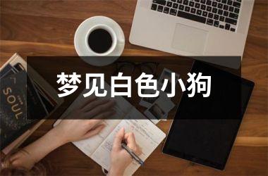 <h3>梦见白色小狗