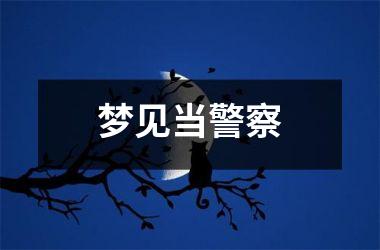 <h3>梦见当警察