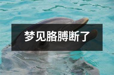 <h3>梦见胳膊断了
