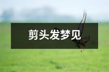 <h3>剪头发梦见
