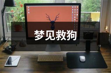 <h3>梦见救狗