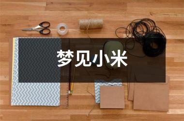 <h3>梦见小米