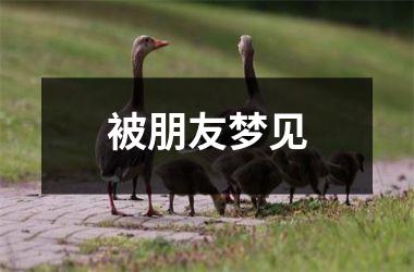 <h3>被朋友梦见