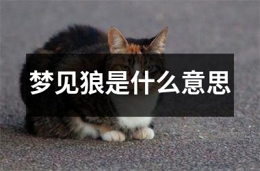 <h3>梦见狼是什么意思