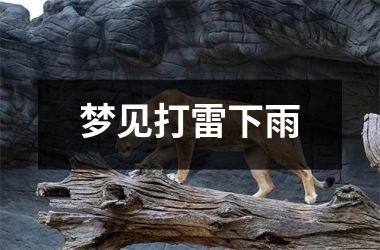 <h3>梦见打雷下雨