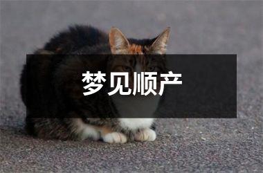 <h3>梦见顺产