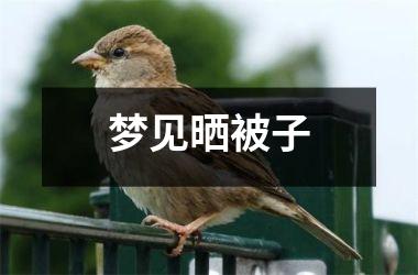 <h3>梦见晒被子