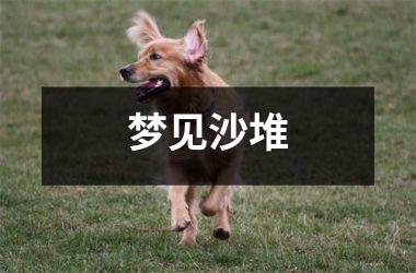 <h3>梦见沙堆