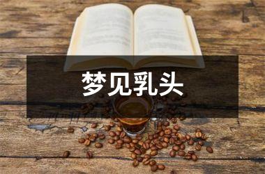 <h3>梦见乳头