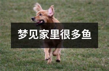 <h3>梦见家里很多鱼