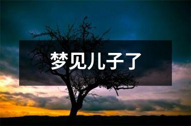 <h3>梦见儿子了