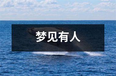 <h3>梦见有人