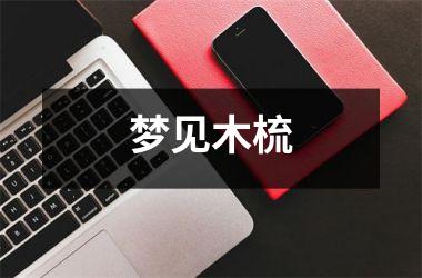 <h3>梦见木梳