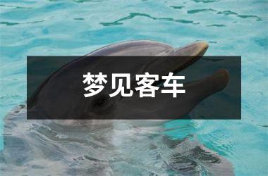 <h3>梦见客车