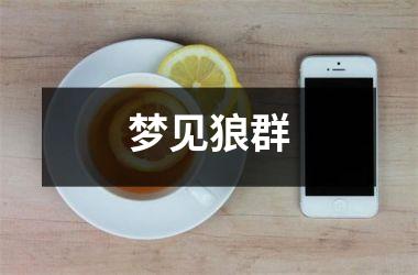 <h3>梦见狼群