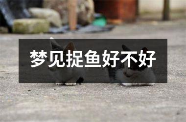 <h3>梦见捉鱼好不好