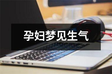 <h3>孕妇梦见生气