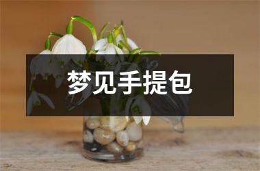 <h3>梦见手提包