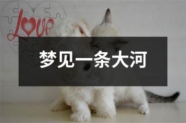 梦见一条大河