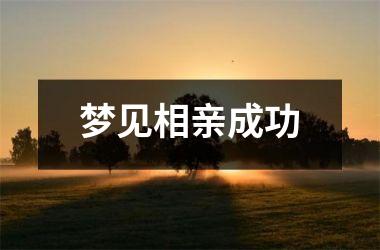 <h3>梦见相亲成功