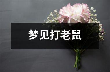 梦见打老鼠