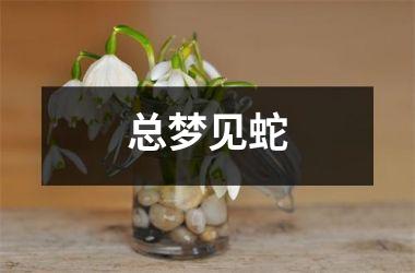 <h3>总梦见蛇