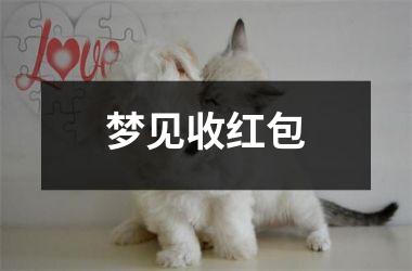 <h3>梦见收红包