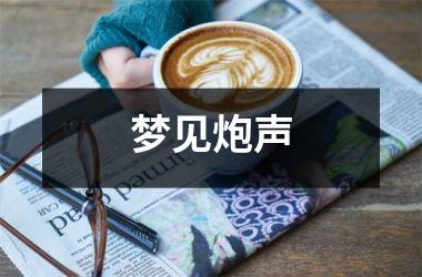<h3>梦见炮声