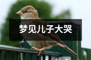 <h3>梦见儿子大哭