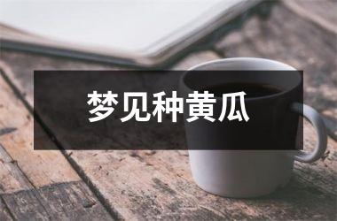 梦见种黄瓜