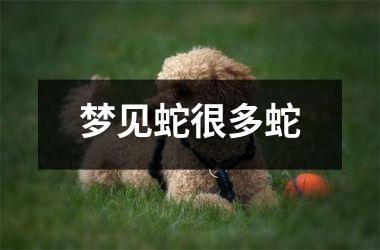 <h3>梦见蛇很多蛇