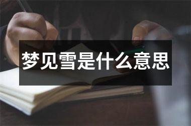 <h3>梦见雪是什么意思