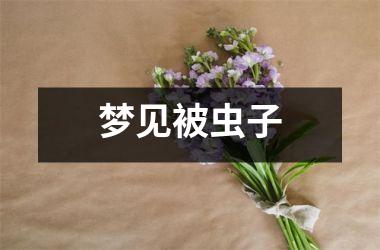 <h3>梦见被虫子