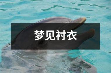 <h3>梦见衬衣