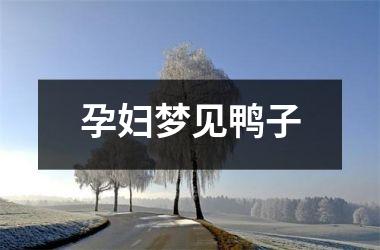 <h3>孕妇梦见鸭子