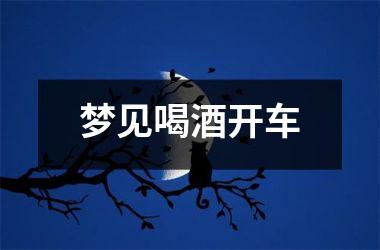<h3>梦见喝酒开车