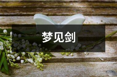 <h3>梦见剑