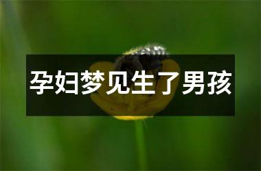 <h3>孕妇梦见生了男孩