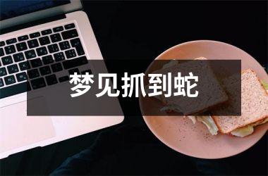 梦见抓到蛇