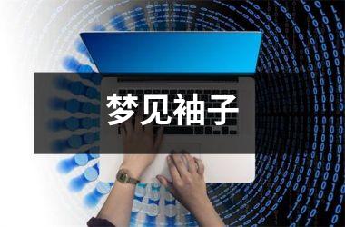 <h3>梦见袖子