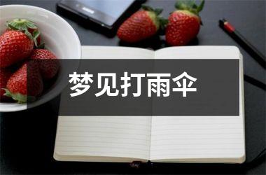 <h3>梦见打雨伞