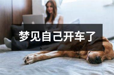 <h3>梦见自己开车了