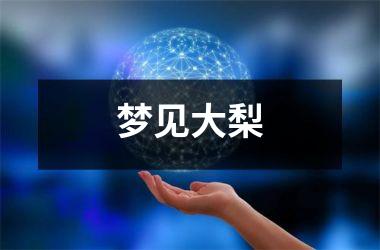 <h3>梦见大梨