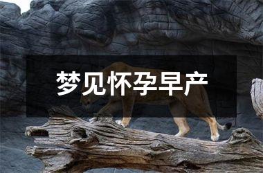 <h3>梦见怀孕早产