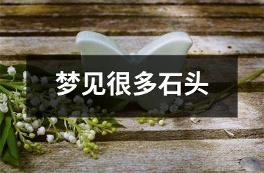 <h3>梦见很多石头