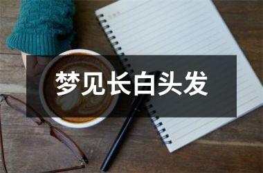 <h3>梦见长白头发