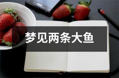 <h3>梦见两条大鱼