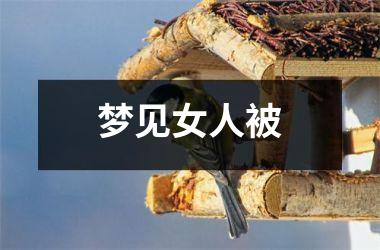 <h3>梦见女人被
