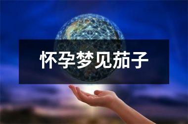 <h3>怀孕梦见茄子